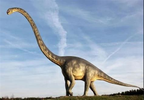 100 Million Years Back The Bones Of Sauropod Dinosaurs Discovered From