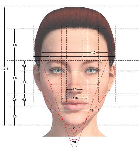 Golden Ratio Face Checker Face Face Drawing Face Drawing Reference