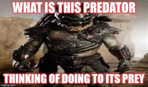 Predator Meme Imgflip