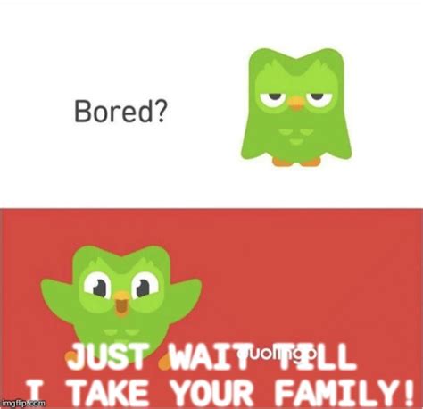 Duolingo Bored Imgflip