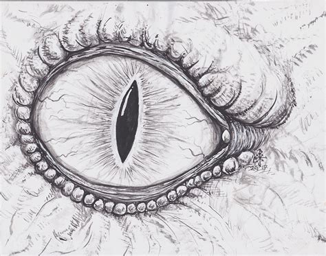 Dragon Eye Drawing By Pj Scoggins