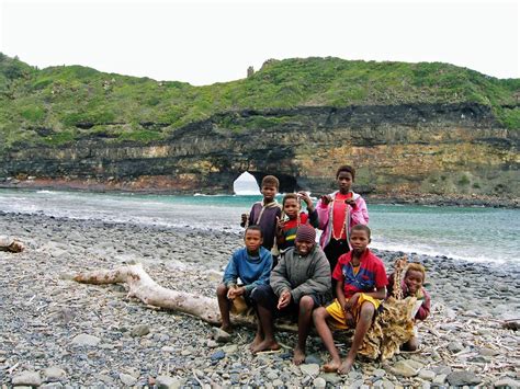 Sun plantations are more likely to be monocultures, and by virtue of that harbor less biodiversity. Photos Coffee Bay. Pictures Coffee Bay | Zoover