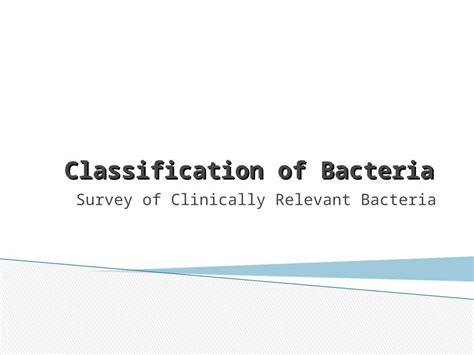 Ppt Ppt Classification Of Bacteria Austin Community · Web