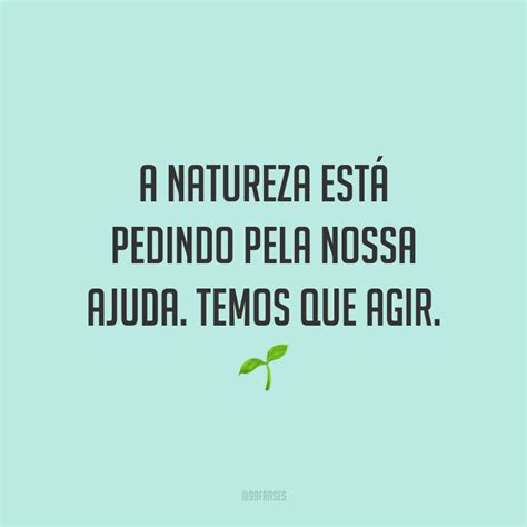 40 Frases Sobre Sustentabilidade Para Cuidar Do Meio Ambiente