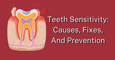 teeth sensitivity causes fixes and prevention dental insurance insiders