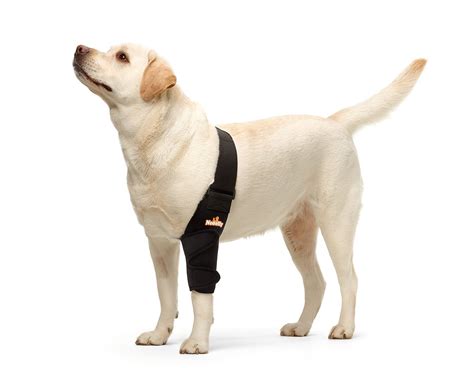 Neoally Dog Elbow Brace Protector Pads For Canine Elbow And Shoulder