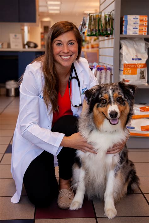 How to care for your pet after surgery. Dr. Kelly Holding - Complete Pet Care Animal Hospital