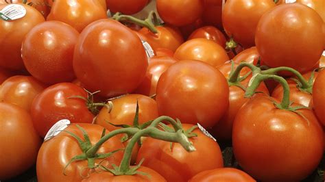 Tomato - Fruit or Vegetable?
