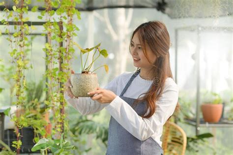Young Woman Caring For Trees In A Greenhouse Planting Trees Plant