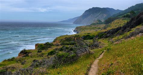 Sinkyone Wilderness State Park Save The Redwoods League