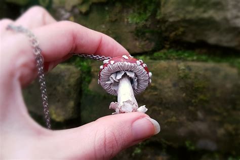 Sold Ooak Mushroom Necklace Faunleyfae