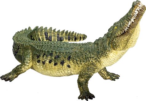Mojo Crocodile With Articulated Jaw Realistic International Wildlife