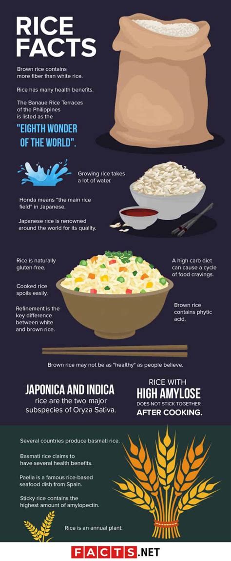 50 Interesting Rice Facts About The World Famous Staple Food