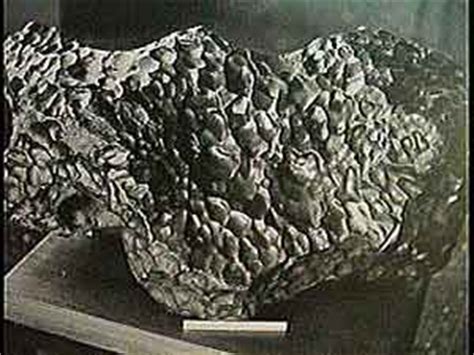 What are the metaphysical properties of a meteorite? The various types of Lek Lai.