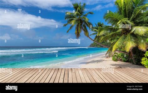 Sunny Beach With Wooden Floor Palm Trees And The Turquoise Sea On