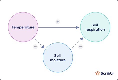 Guide To Experimental Design Overview 5 Steps And Examples