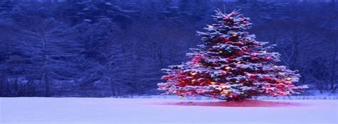 Facebook Covers Christmas Christmas Tree Colorful Decorations Lights