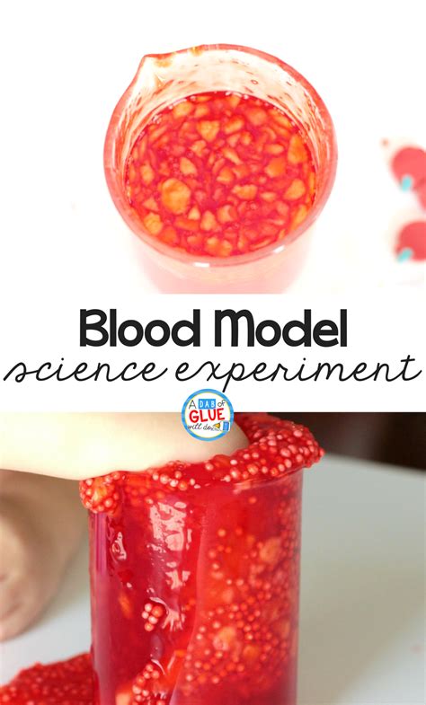 Make A Blood Model In A Bottle Artofit