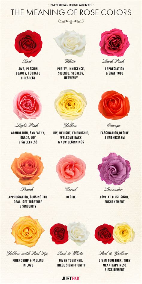 National Rose Month The Meaning Of Rose Colors