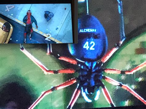 In Spider Man Into The Spider Verse The Spider That Bites Miles Has