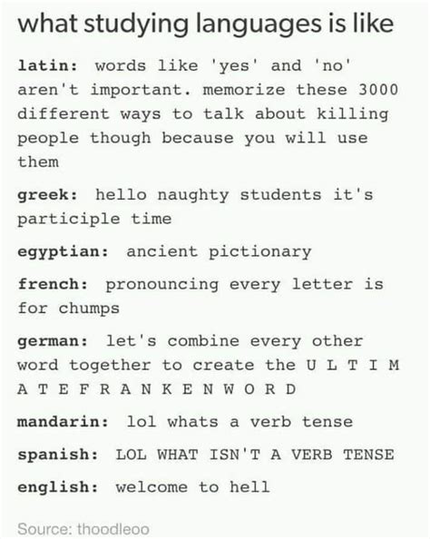 53 Language Shtposts That Perfectly Demonstrate A Polyglots