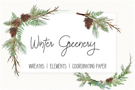 Winter Greenery Watercolor Clip Art Png Format 163790