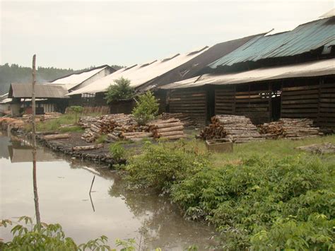 Mcm tak de la gulanye kecuali yang minat agrotourism atau mancing. LensaKiri- Bermulanya Kembara Kehidupan: Cuti-cuti ...