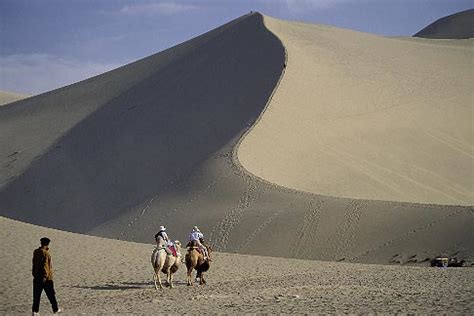 Noldus adds that european operators deploying camel for inbound roaming subscribers are reporting increases in network usage. China, Dunhuang, Tourist riding camels at the Mingsha sand ...