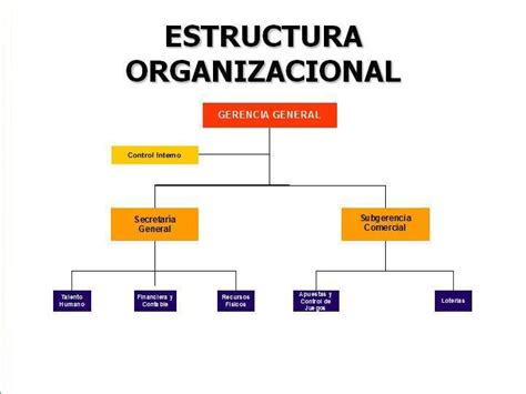 Mauricio Cabal Estructura Organizacional