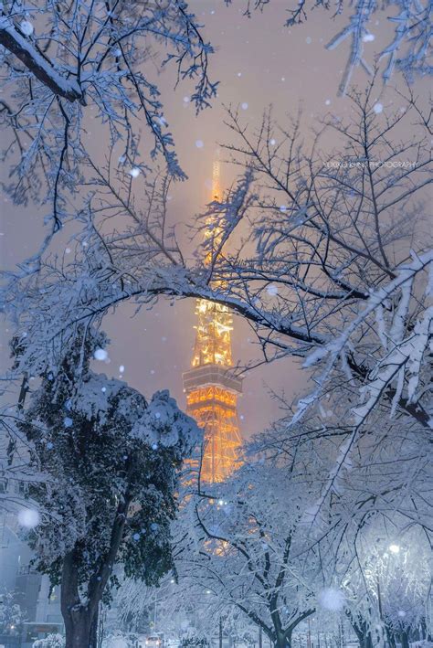 Tokyo Tower Tokyo Tokyo Photography Winter In Japan Tokyo Tower