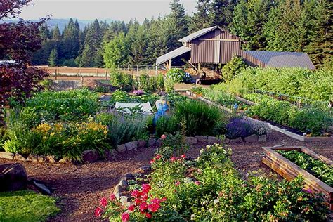 Howdy farmers, the family farm seaside team is ready to help farmers all over the world at any moment! Our Family Farm - Oak Street Hotel