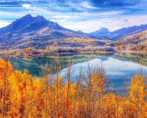 Autumn Forest Trees With Yellow Leaves Blue Sky Mountain Lake United