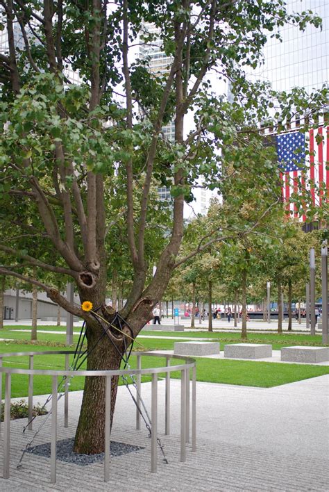 Nyc ♥ Nyc The Newly Opened National September 11 Memorial 911