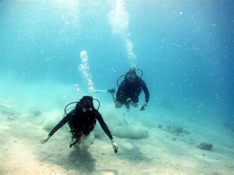 Learning To Scuba Dive In Aruba Boardwalkaruba Learn To Scuba Dive