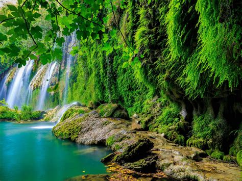 Green Tropical Forest Waterfall Lake Landscape Nature 4k