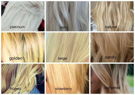 Information About Shades Of Blonde Hair Color Chart At