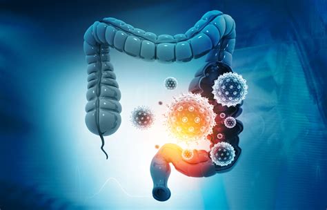 Persistence Pays Off In The Human Gut Microbiome Pharmacy Update Online