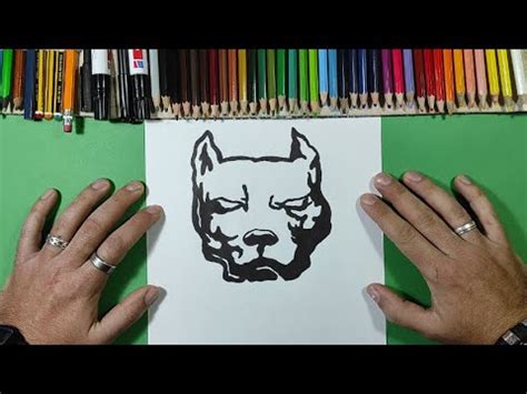 Como Dibujar Un Pitbull Paso A Paso How To Draw A Pitbull Youtube