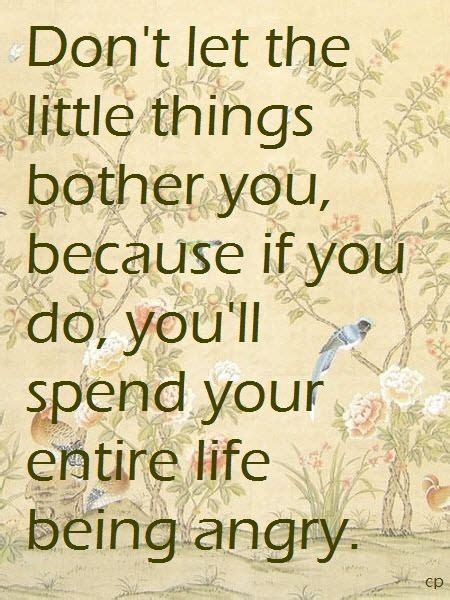 Dont Let The Little Things Bother You Because If You Do Youll Spend