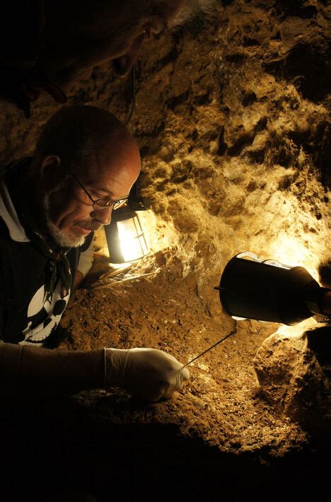 Recuperan Adn De Hace 430000 Años En Fósiles Humanos De La Sima De Los