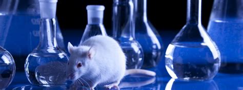 Treatments for animals developed using animal testing also include pacemakers for heart disease and remedies for glaucoma and hip dysplasia. Futuristic Advancements in Medicine That Will Change ...