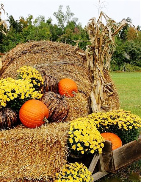 Fall Decorating Ideas For Outside And A Funny Story Thistlewood