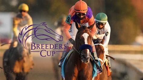 How To Watch And Bet On The Breeders Cup Nov 5 6 At Del Mar Fast