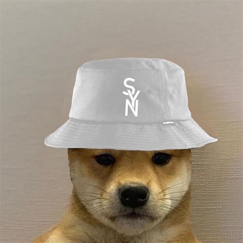 Gamerpics 1080x1080 Doge Wit Hat