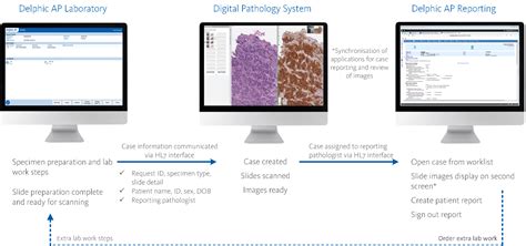 Digital Pathology Interface Thailand