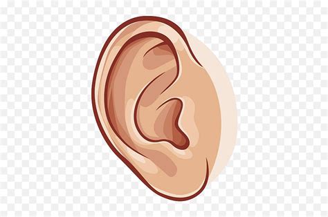 Ears Clipart Png Ear Clipart Emoji Ear Emoji Png Free Transparent