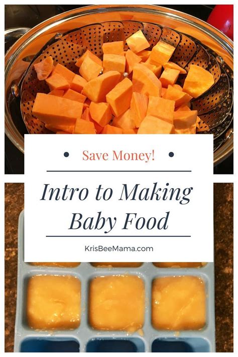 How To Make Your Own Baby Food And Save Money Like A Mom Boss Baby