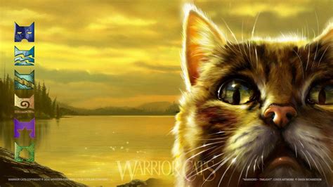 Warriors Cat Wallpapers Top Free Warriors Cat Backgrounds