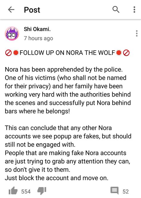 Update On The Nora The Wolf Situation Nora Okami Behind The Scenes