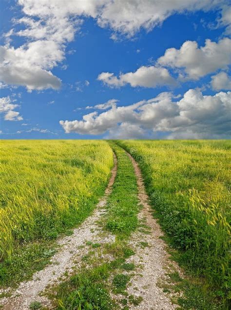 Spring Road Path Grass Green Naturegreen Meadow Road Through The Grass